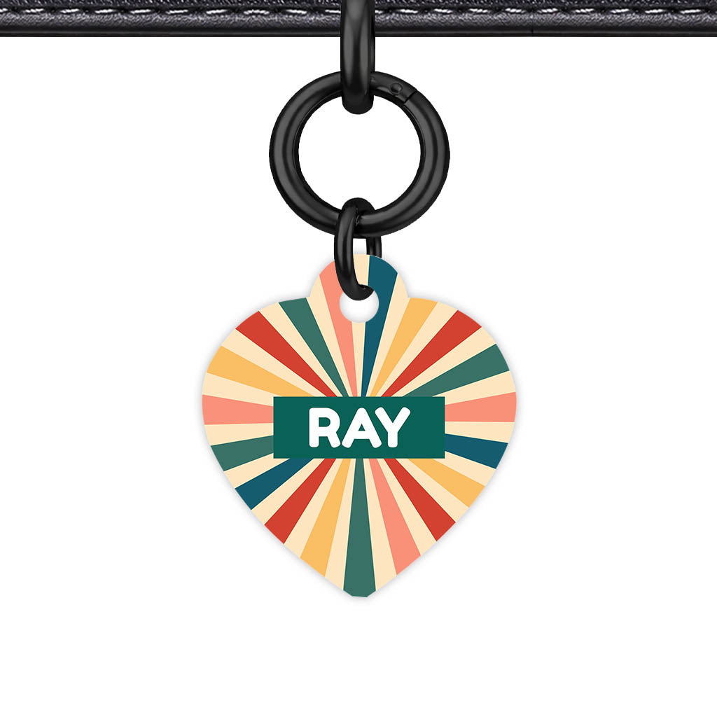 Retro Sunburst QR Smart Pet Id Tag Tag (Dog Tag & Cat Tag)