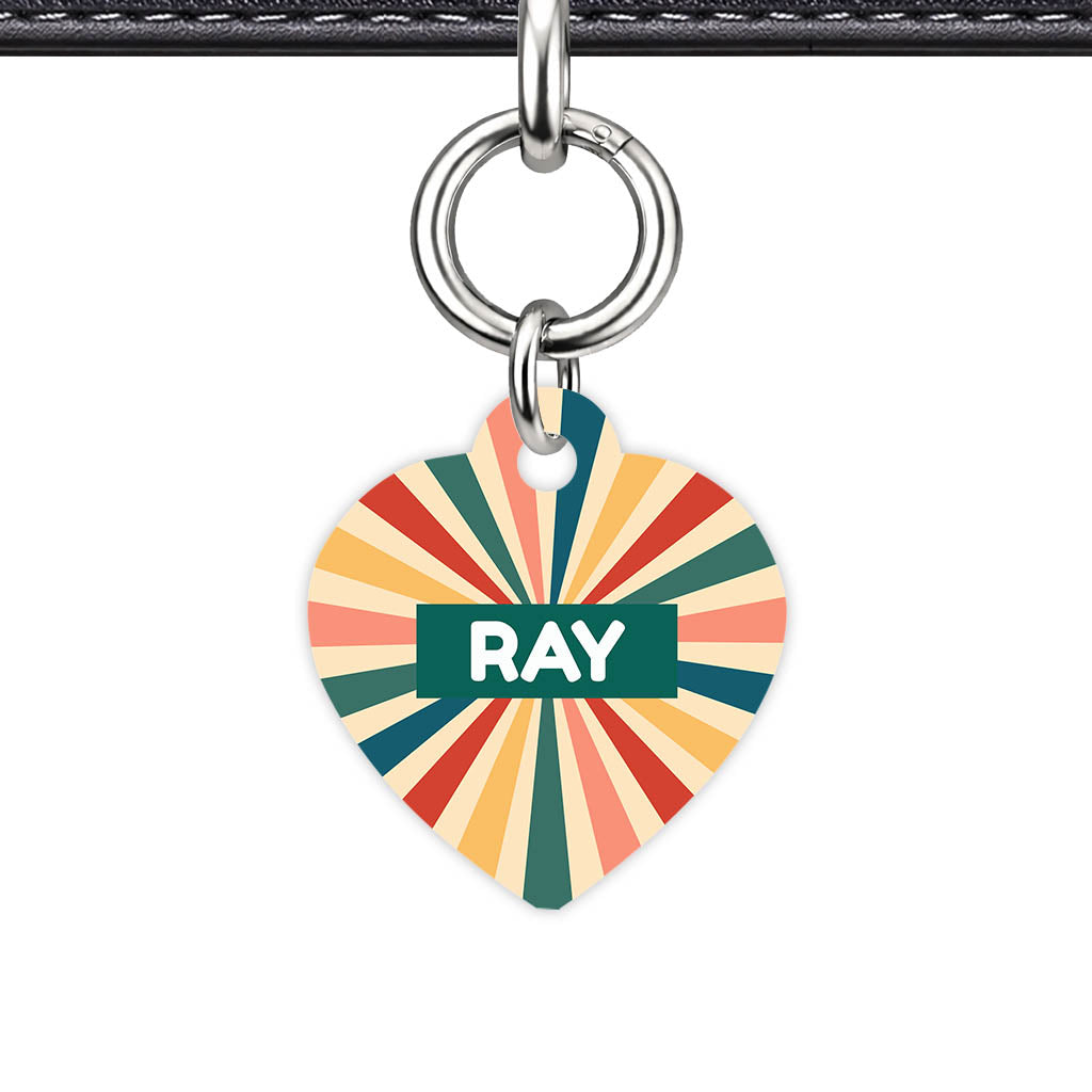 Retro Sunburst QR Smart Pet Id Tag Tag (Dog Tag & Cat Tag)