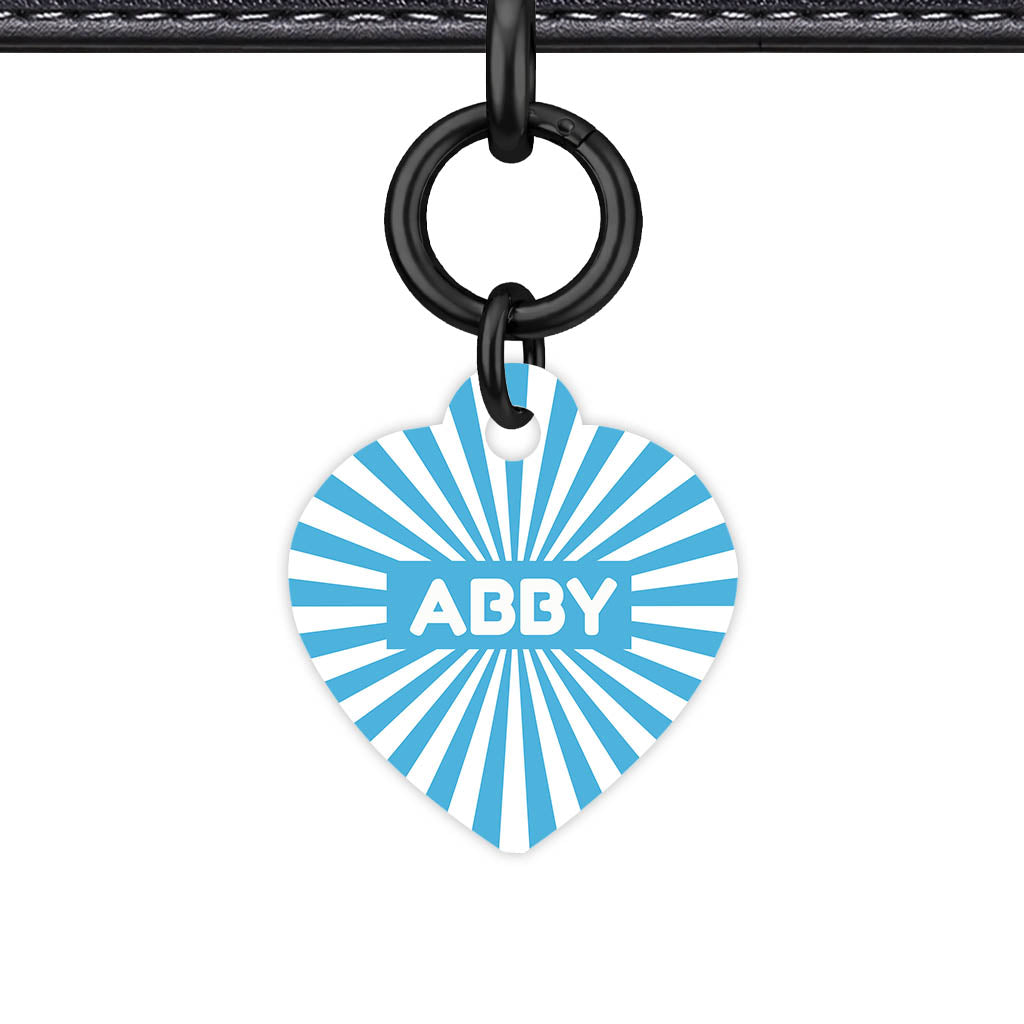Blue Sunburst QR Smart Pet Id Tag Tag (Dog Tag & Cat Tag)