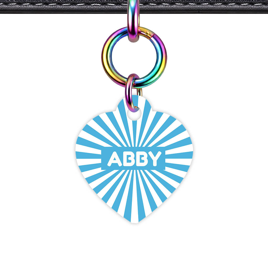 Blue Sunburst QR Smart Pet Id Tag Tag (Dog Tag & Cat Tag)