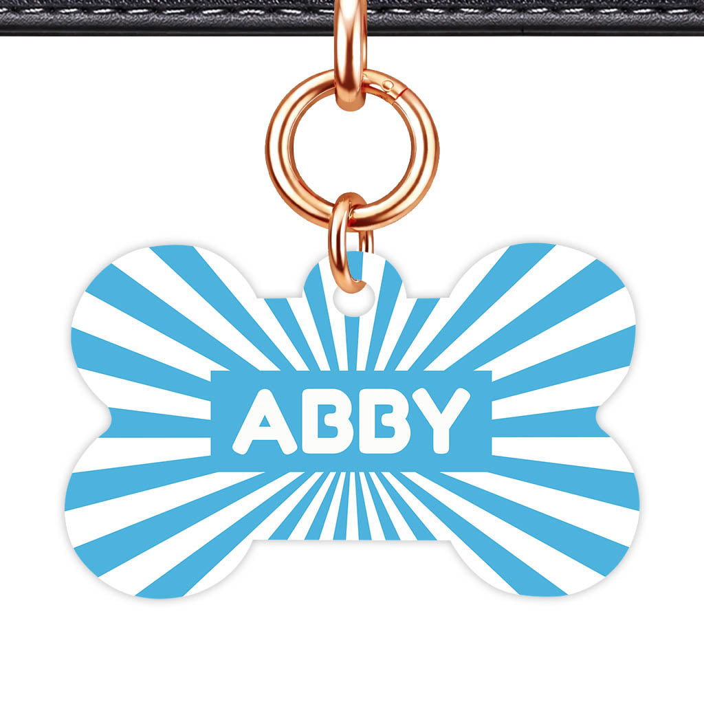 Blue Sunburst QR Smart Pet Id Tag Tag (Dog Tag & Cat Tag)