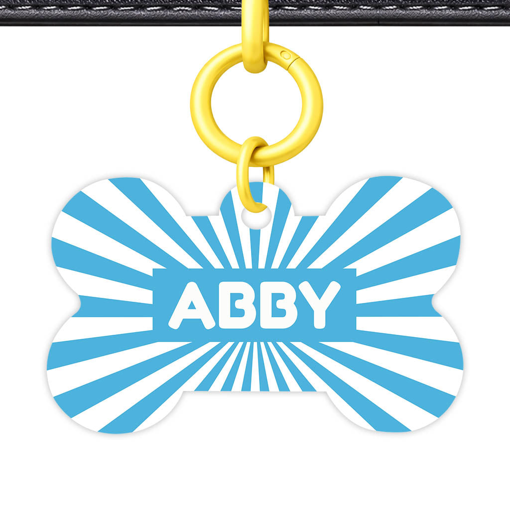Blue Sunburst QR Smart Pet Id Tag Tag (Dog Tag & Cat Tag)