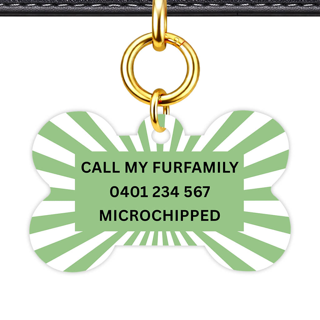 Green Sunburst Classic Pet ID Tag - image 12