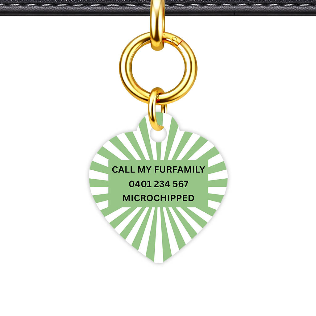 Green Sunburst Classic Pet ID Tag - alternate view