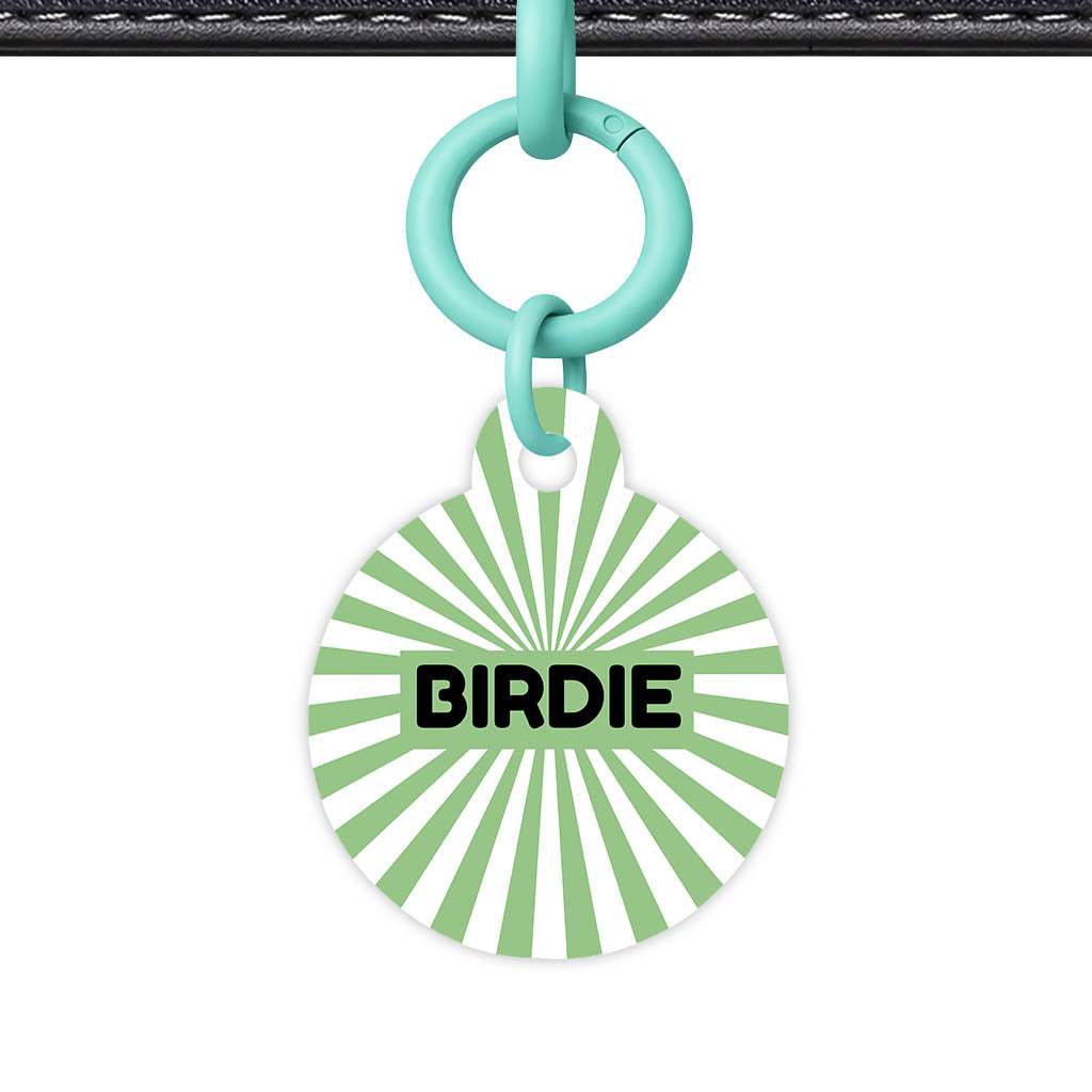 Green Sunburst QR Smart Pet Id Tag Tag (Dog Tag & Cat Tag)