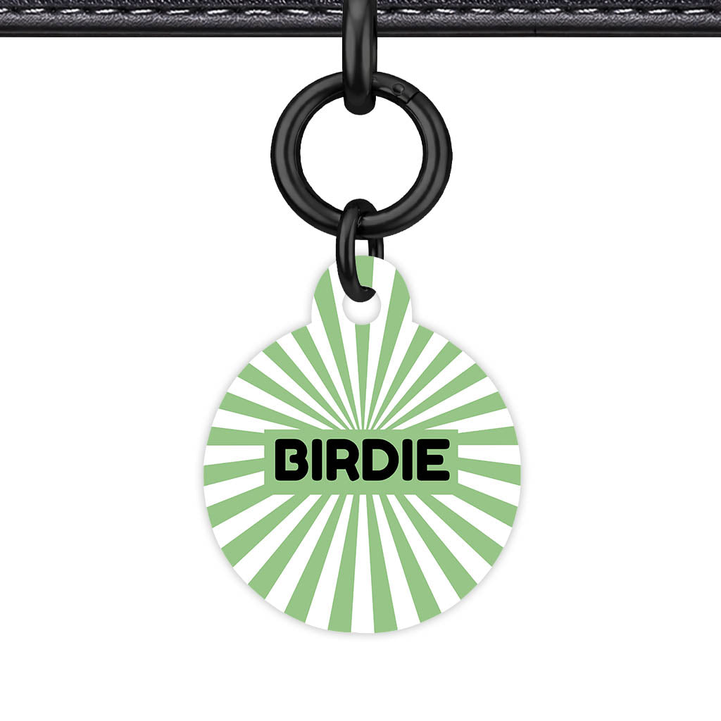 Green Sunburst QR Smart Pet Id Tag Tag (Dog Tag & Cat Tag)