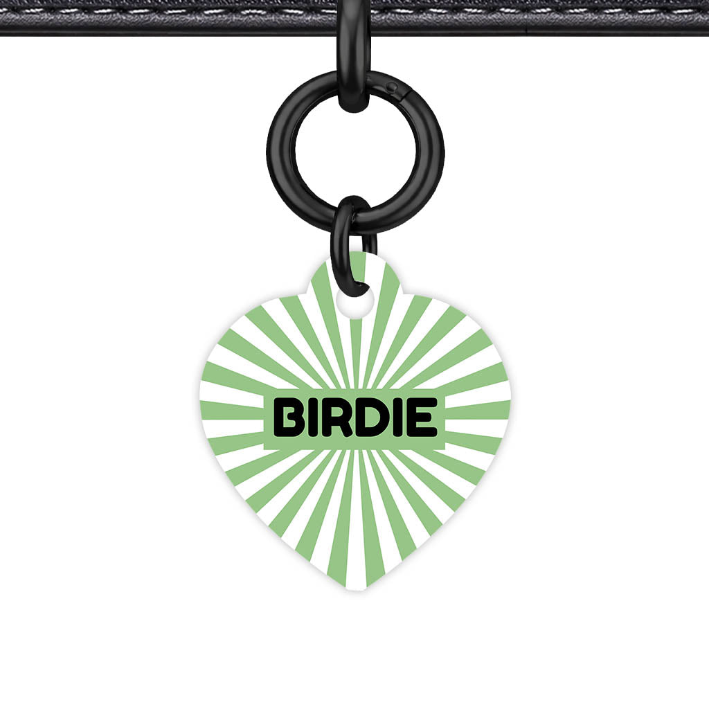 Green Sunburst QR Smart Pet Id Tag Tag (Dog Tag & Cat Tag)
