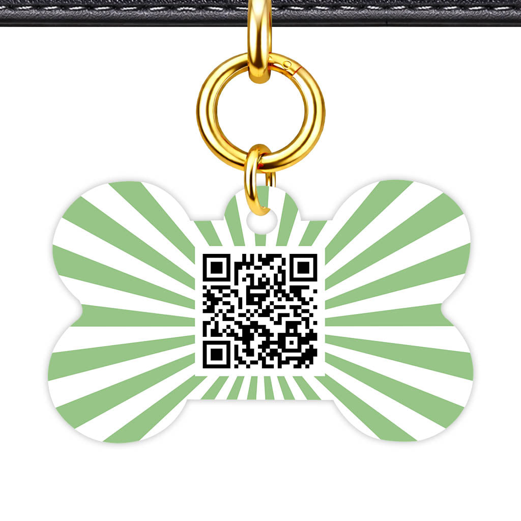 Green Sunburst QR Smart Pet Id Tag Tag (Dog Tag & Cat Tag)