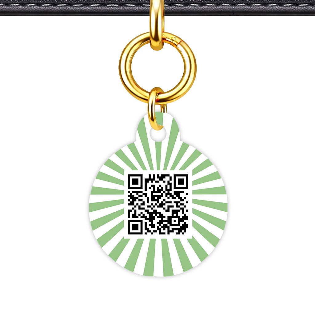 Green Sunburst QR Smart Pet Id Tag Tag (Dog Tag & Cat Tag)