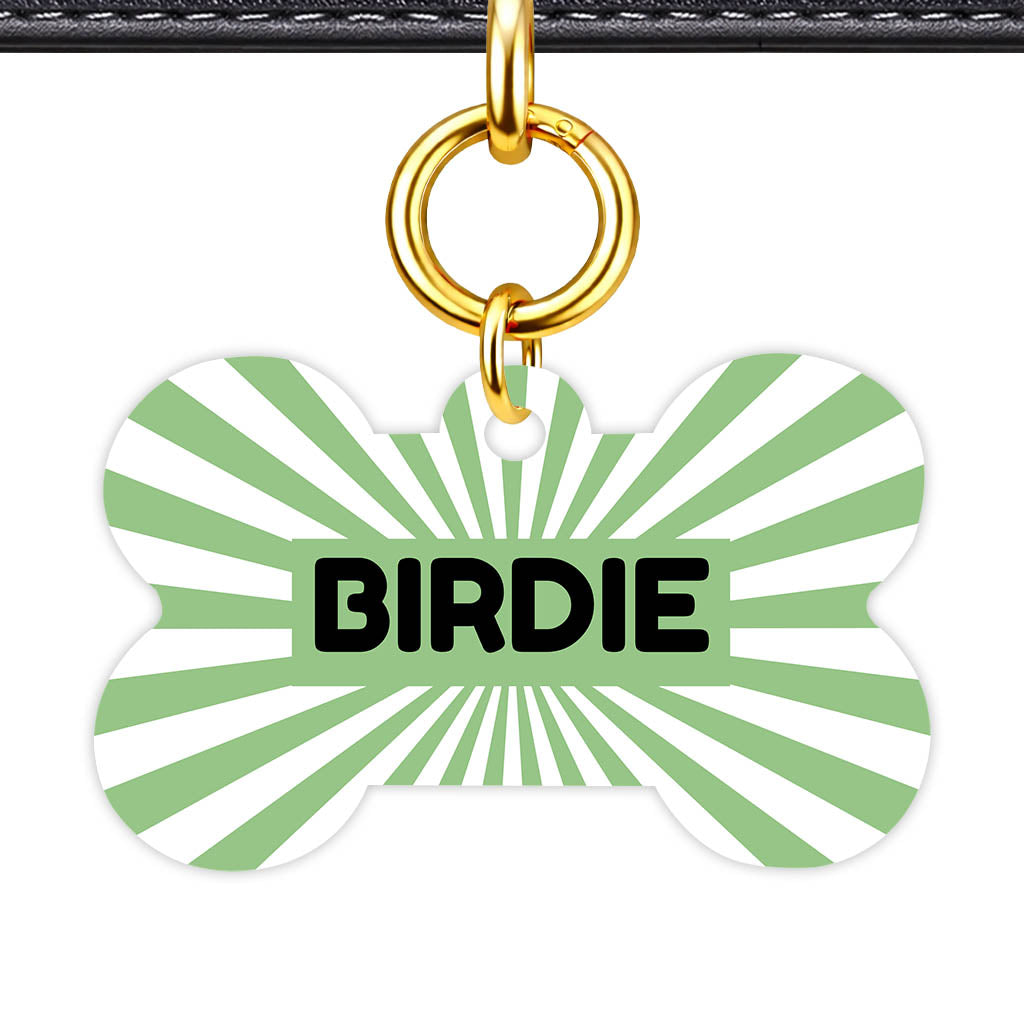 Green Sunburst QR Smart Pet Id Tag Tag (Dog Tag & Cat Tag)