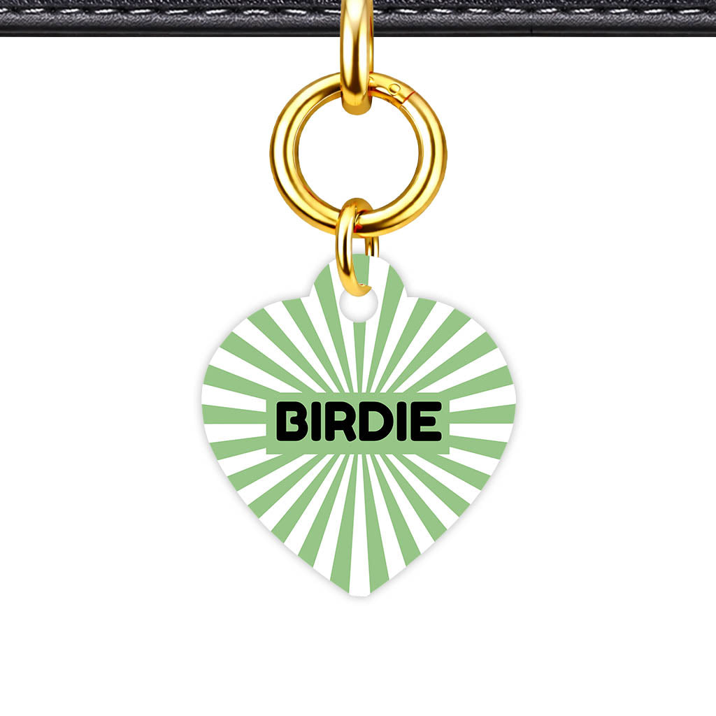 Green Sunburst QR Smart Pet Id Tag Tag (Dog Tag & Cat Tag)