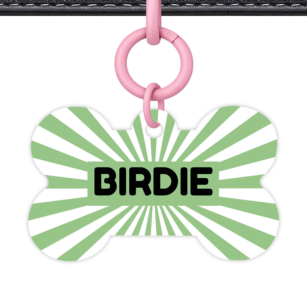 Green Sunburst QR Smart Pet Id Tag Tag (Dog Tag & Cat Tag)