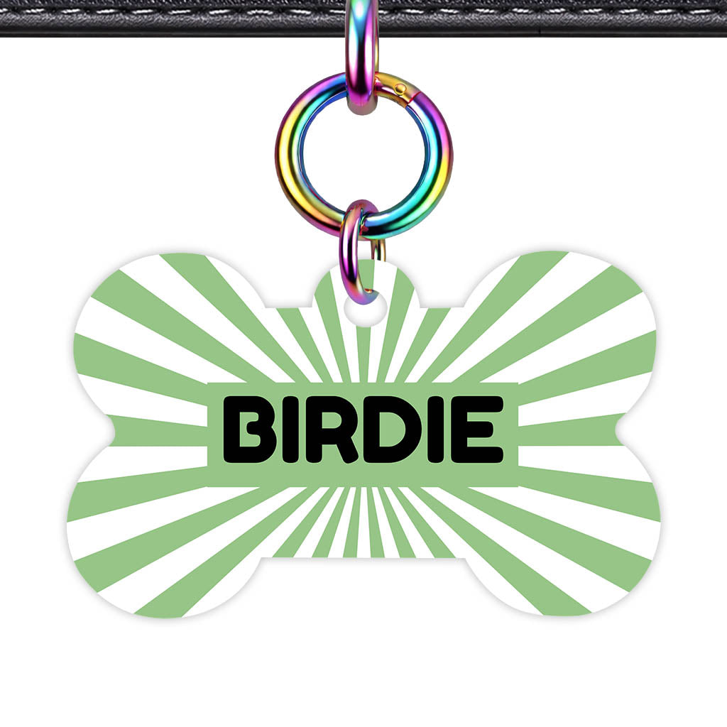 Green Sunburst QR Smart Pet Id Tag Tag (Dog Tag & Cat Tag)