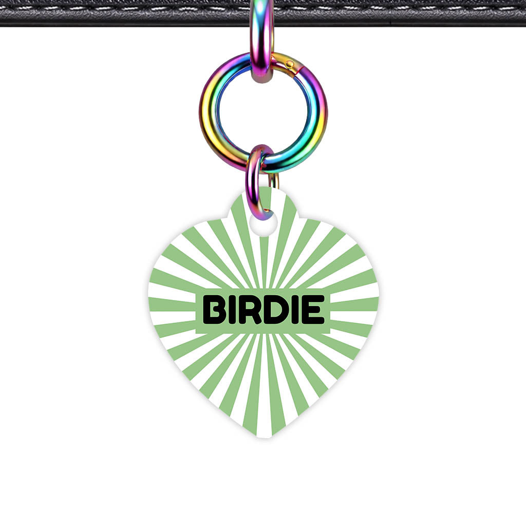 Green Sunburst QR Smart Pet Id Tag Tag (Dog Tag & Cat Tag)