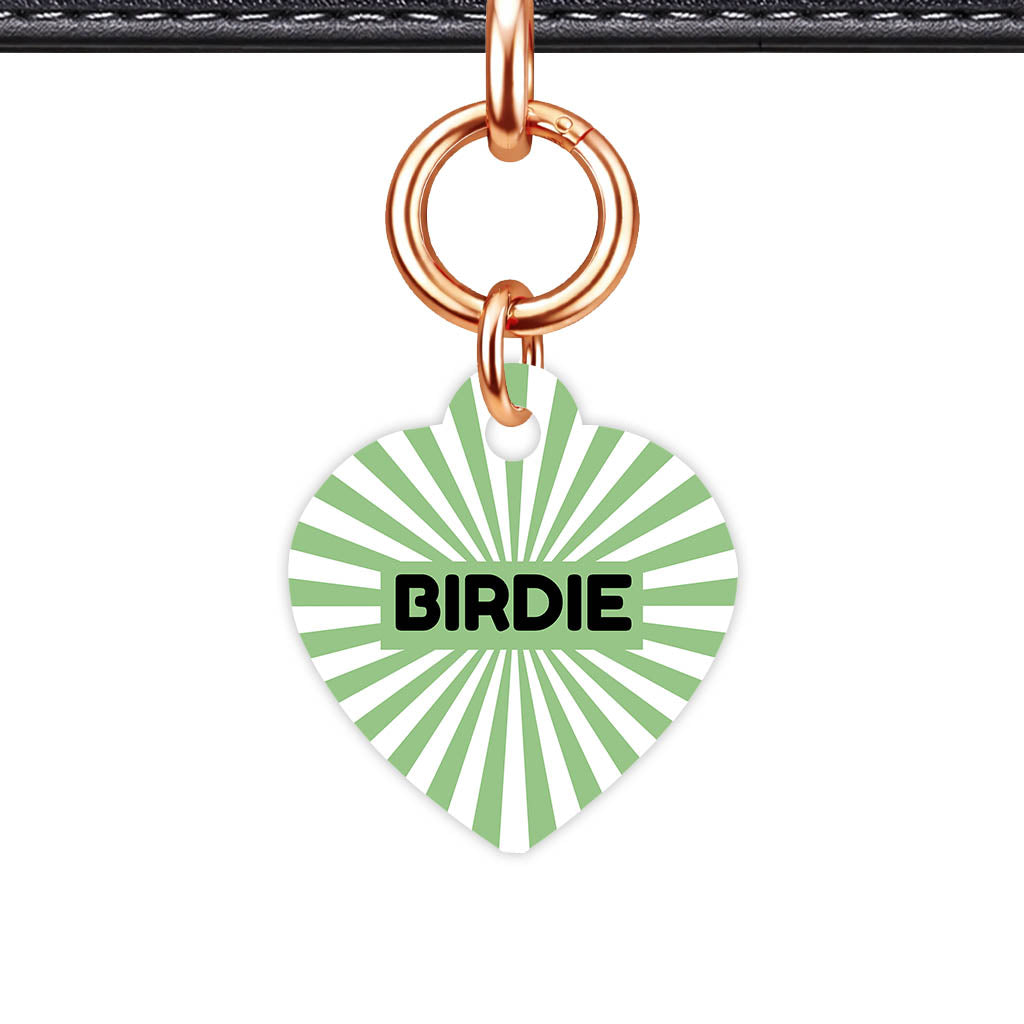 Green Sunburst QR Smart Pet Id Tag Tag (Dog Tag & Cat Tag)