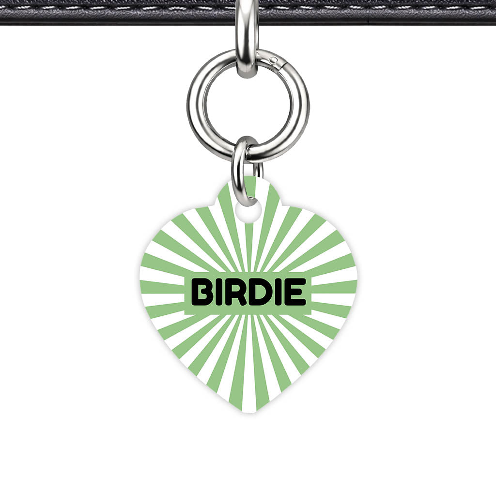 Green Sunburst QR Smart Pet Id Tag Tag (Dog Tag & Cat Tag)