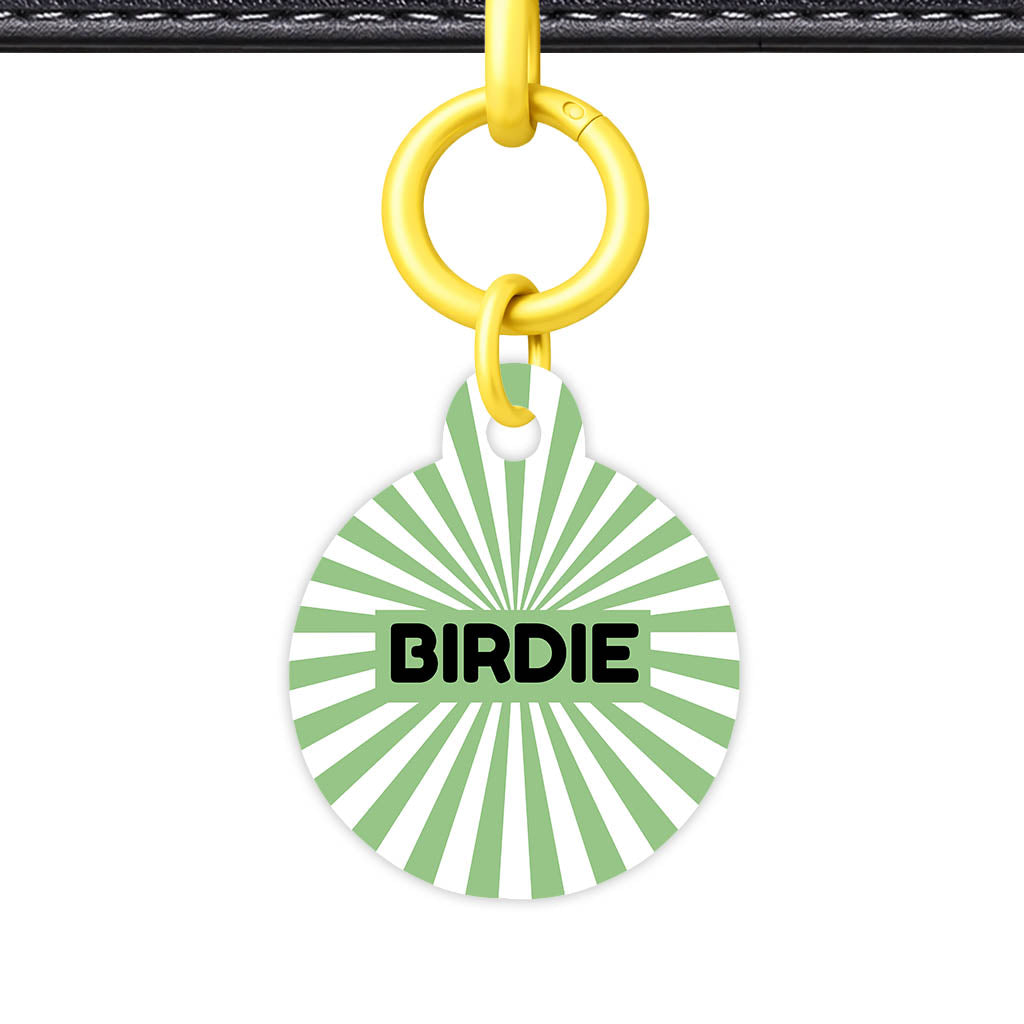 Green Sunburst QR Smart Pet Id Tag Tag (Dog Tag & Cat Tag)