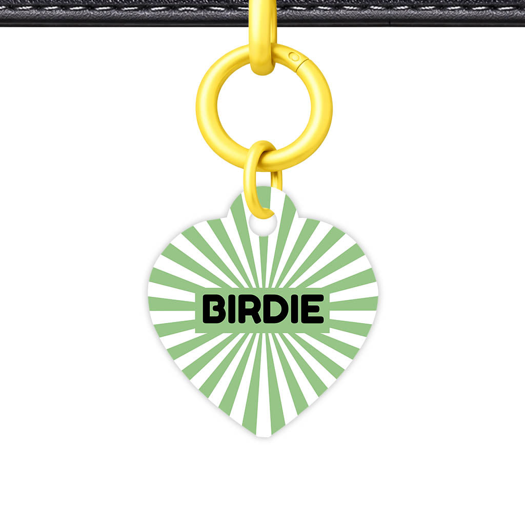 Green Sunburst QR Smart Pet Id Tag Tag (Dog Tag & Cat Tag)
