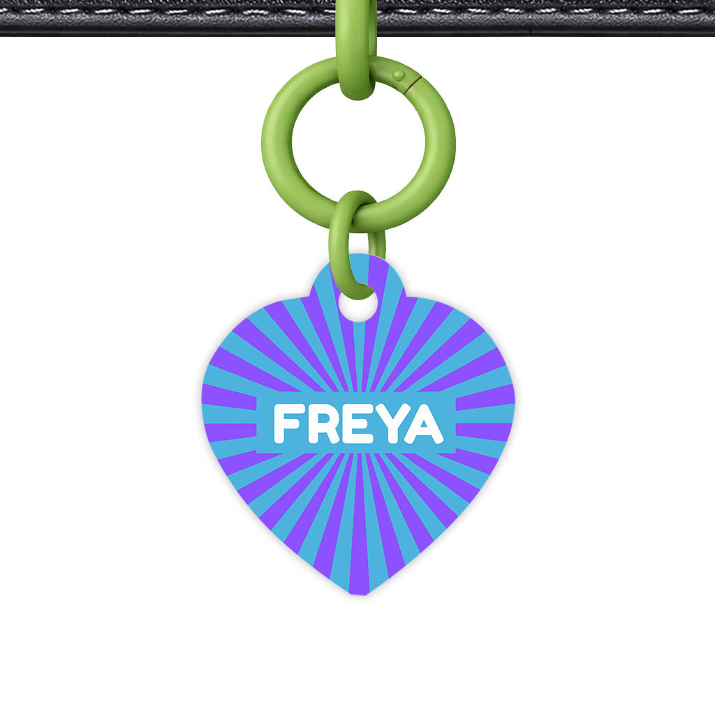 Vibrant Sunburst QR Smart Pet Id Tag Tag (Dog Tag & Cat Tag)