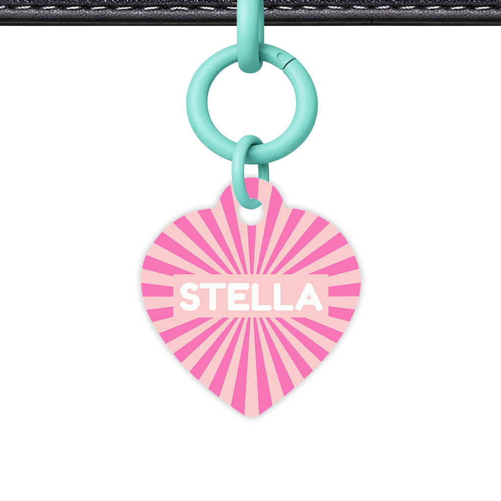 Pink Sunburst QR Smart Pet Id Tag Tag (Dog Tag & Cat Tag)