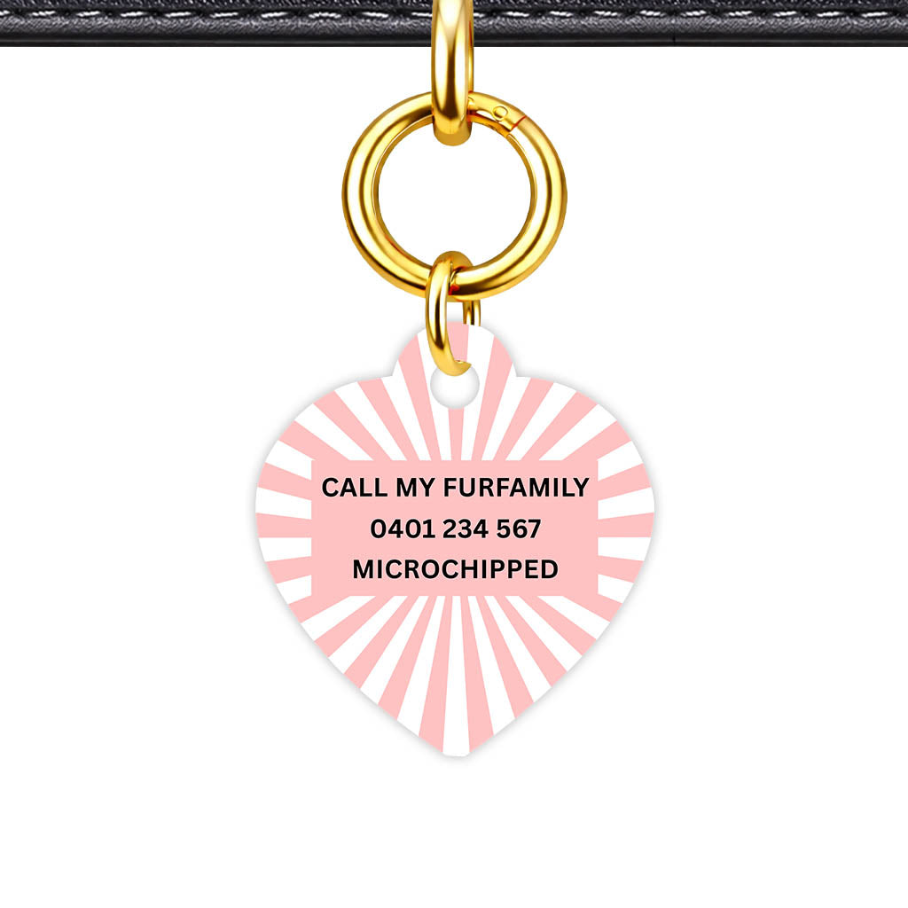 Blush Sunburst Classic Pet ID Tag (Dog Tag & Cat Tag)