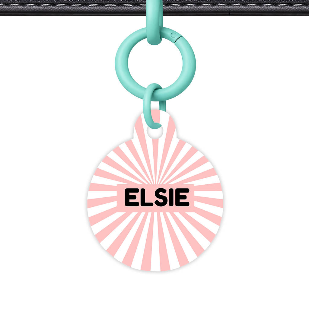 Blush Sunburst QR Smart Pet Id Tag Tag (Dog Tag & Cat Tag)