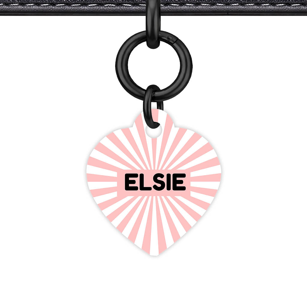 Blush Sunburst QR Smart Pet Id Tag Tag (Dog Tag & Cat Tag)