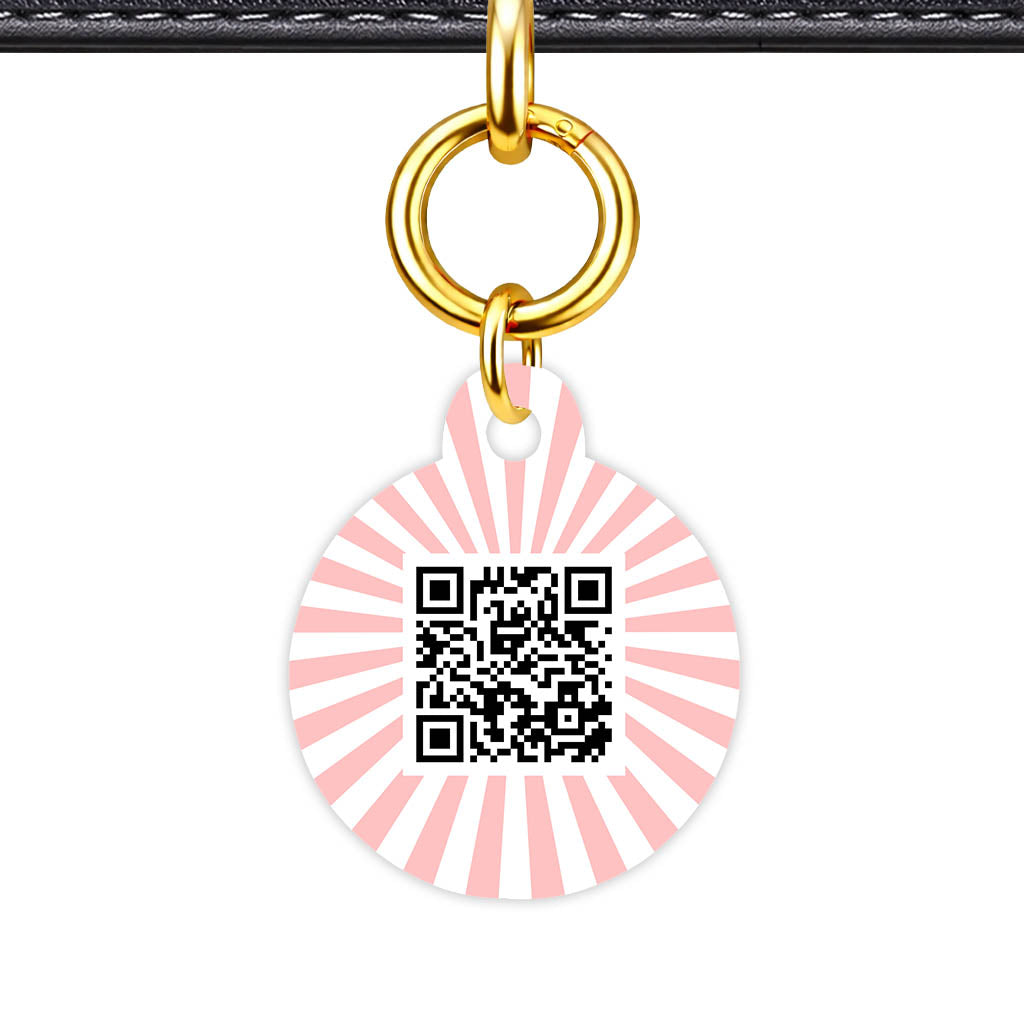 Blush Sunburst QR Smart Pet Id Tag Tag (Dog Tag & Cat Tag)