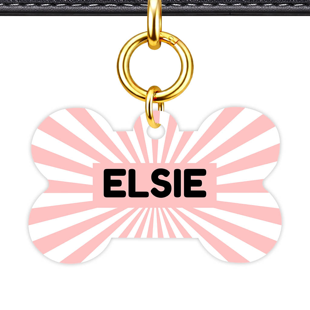 Blush Sunburst QR Smart Pet Id Tag Tag (Dog Tag & Cat Tag)