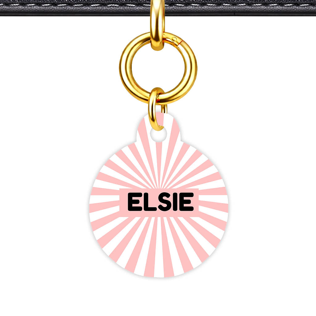 Blush Sunburst QR Smart Pet Id Tag Tag (Dog Tag & Cat Tag)