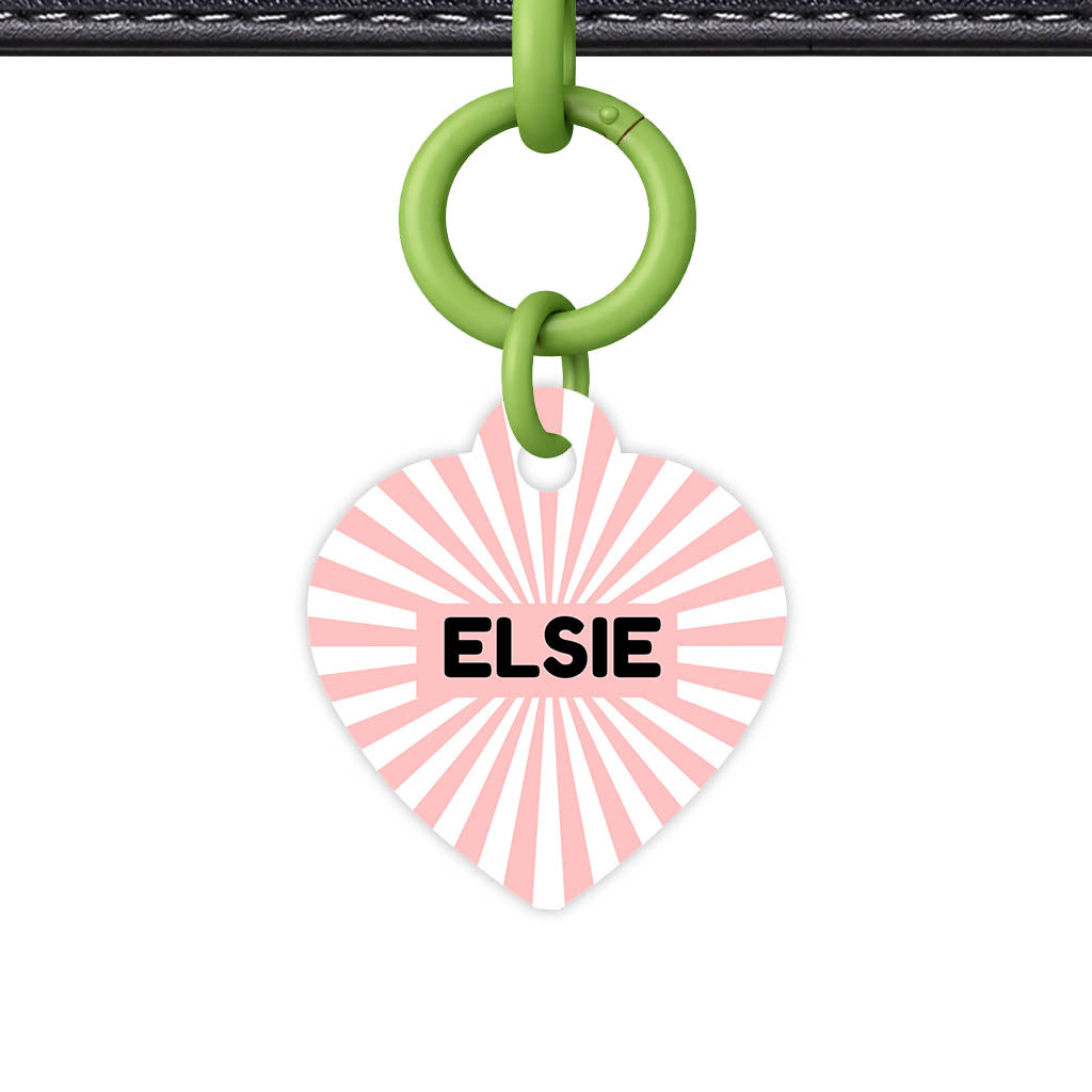 Blush Sunburst QR Smart Pet Id Tag Tag (Dog Tag & Cat Tag)