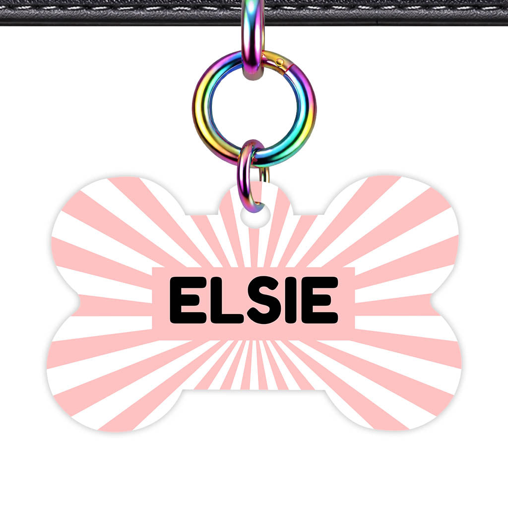 Blush Sunburst QR Smart Pet Id Tag Tag (Dog Tag & Cat Tag)