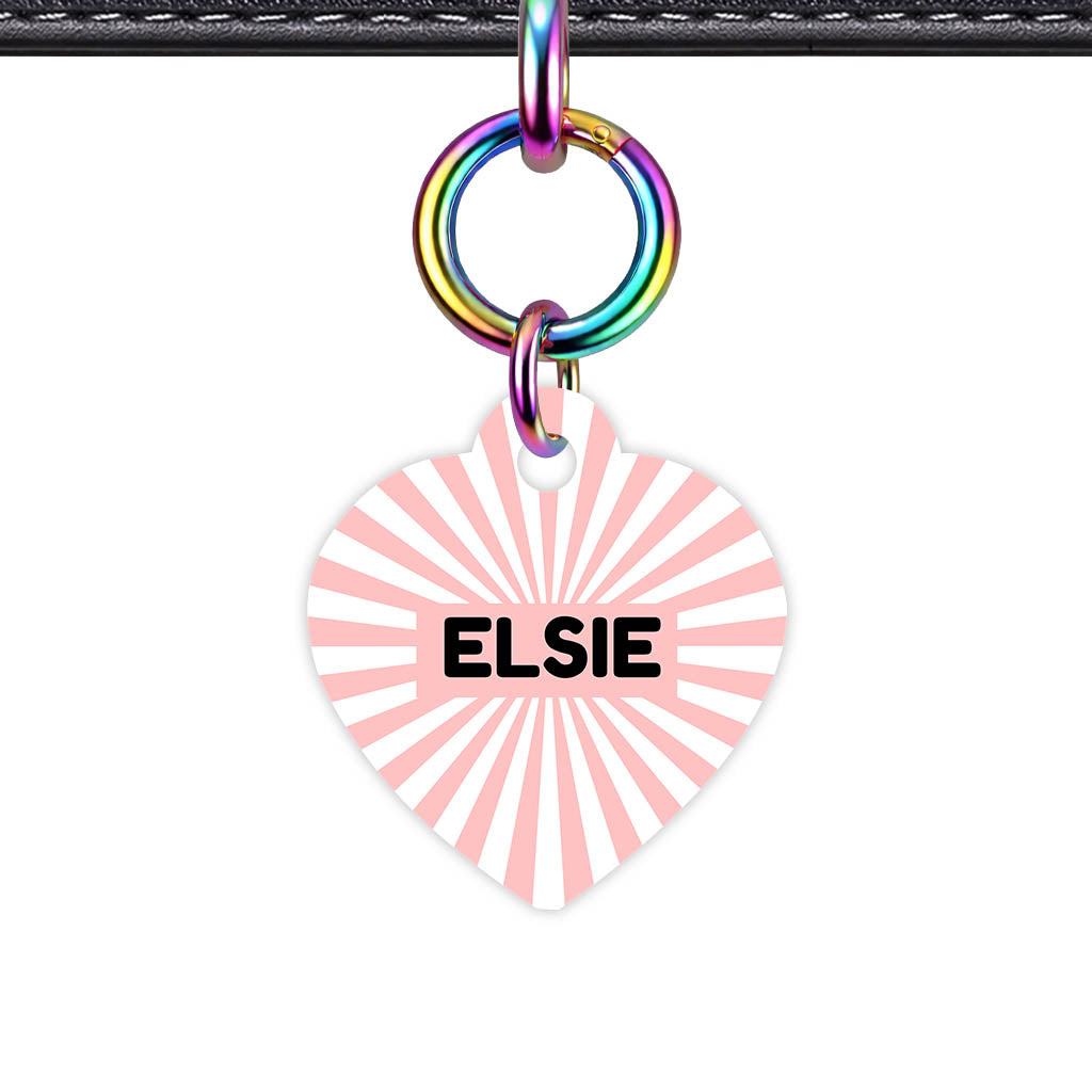 Blush Sunburst QR Smart Pet Id Tag Tag (Dog Tag & Cat Tag)