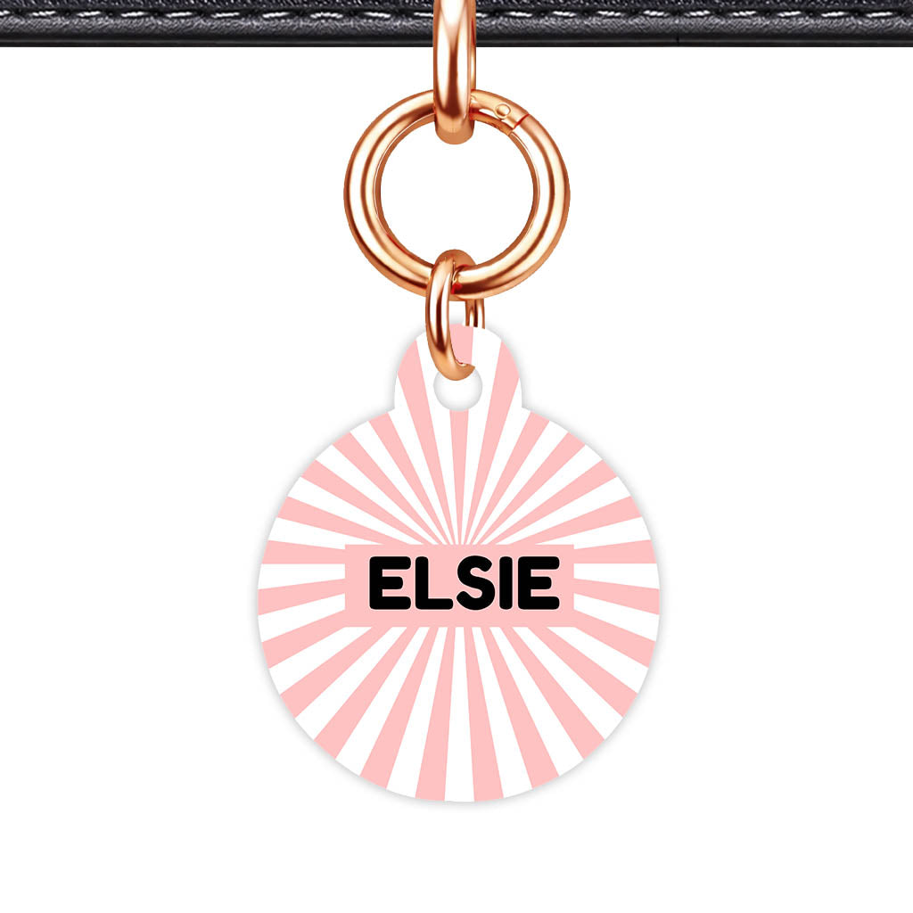 Blush Sunburst QR Smart Pet Id Tag Tag (Dog Tag & Cat Tag)