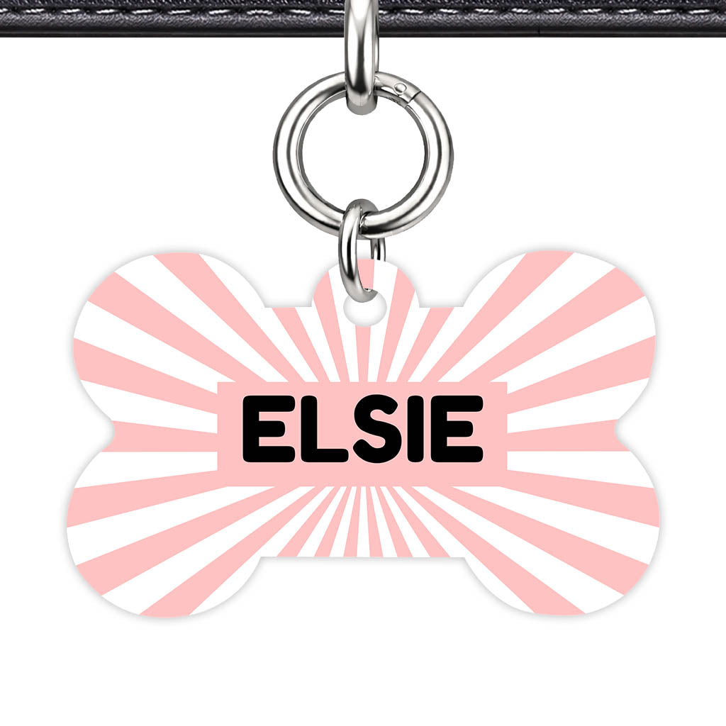 Blush Sunburst QR Smart Pet Id Tag Tag (Dog Tag & Cat Tag)