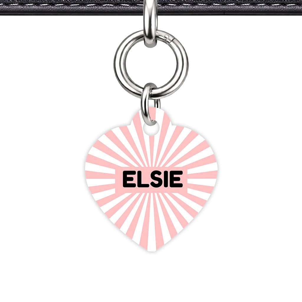 Blush Sunburst QR Smart Pet Id Tag Tag (Dog Tag & Cat Tag)