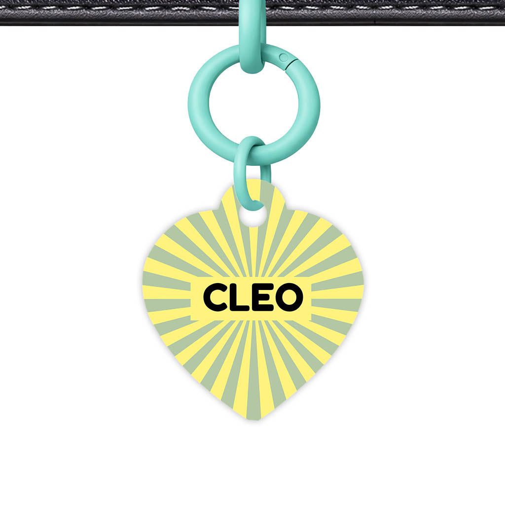 Green Yellow Sunburst Classic Pet ID Tag (Dog Tag & Cat Tag)