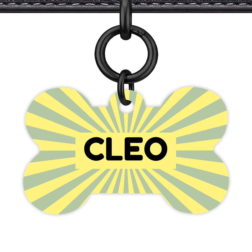 Green Yellow Sunburst QR Smart Pet Id Tag Tag (Dog Tag & Cat Tag)