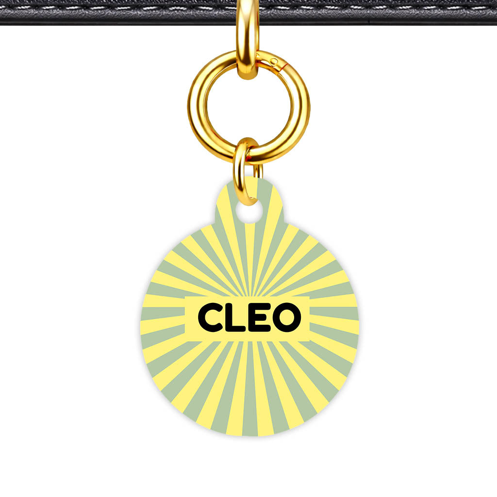 Green Yellow Sunburst QR Smart Pet Id Tag Tag (Dog Tag & Cat Tag)