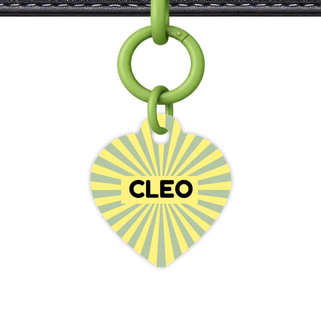 Green Yellow Sunburst QR Smart Pet Id Tag Tag (Dog Tag & Cat Tag)