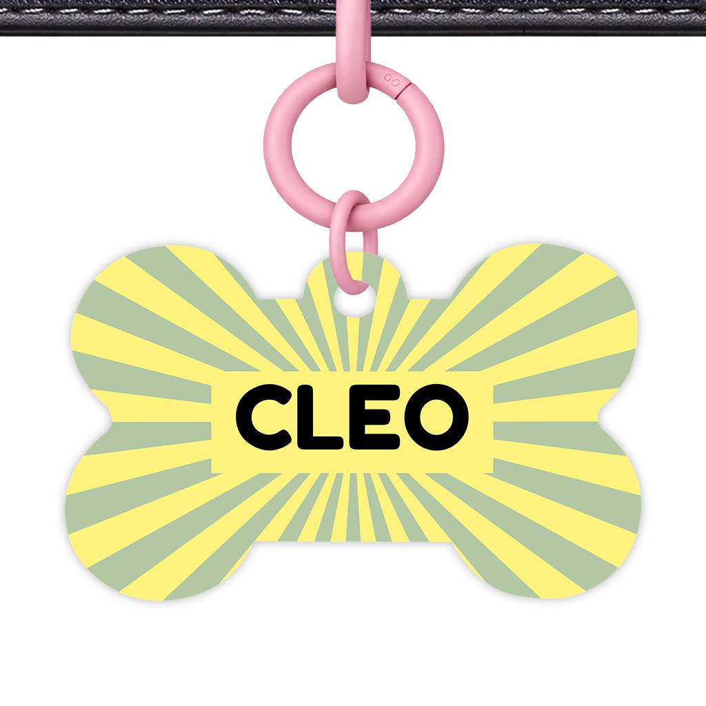 Green Yellow Sunburst QR Smart Pet Id Tag Tag (Dog Tag & Cat Tag)