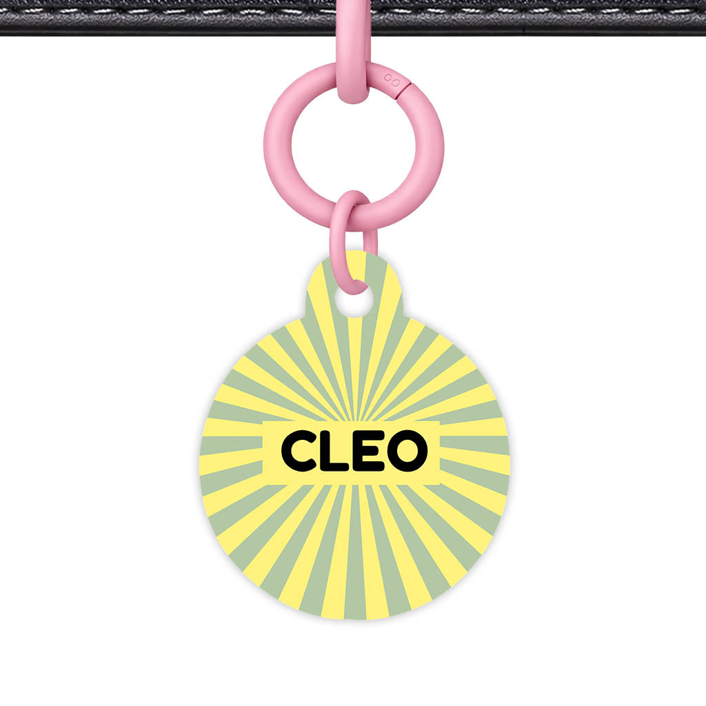 Green Yellow Sunburst QR Smart Pet Id Tag Tag (Dog Tag & Cat Tag)