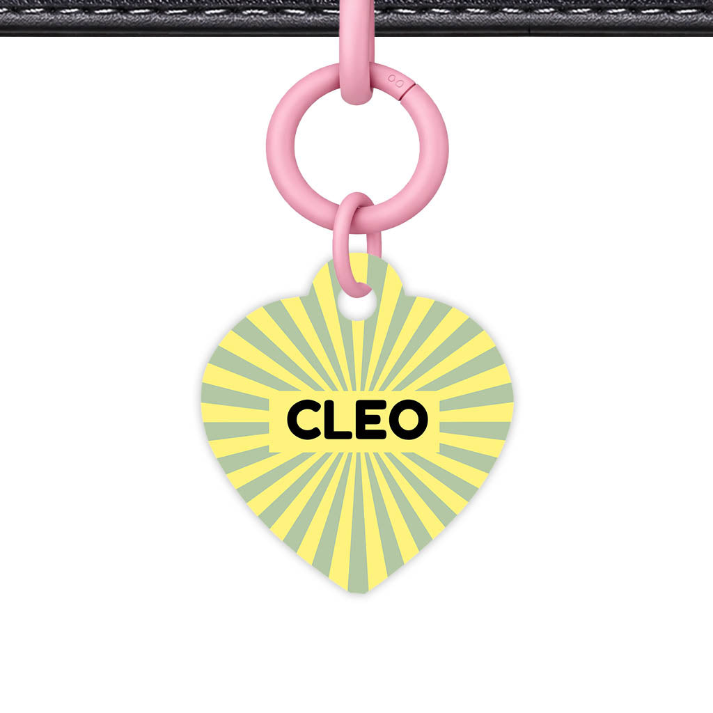 Green Yellow Sunburst Classic Pet ID Tag (Dog Tag & Cat Tag)