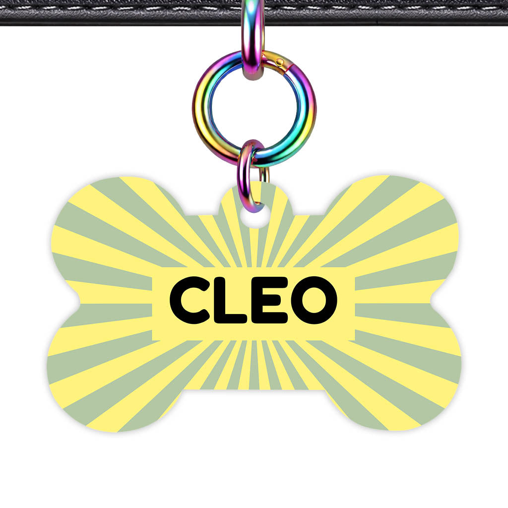 Green Yellow Sunburst QR Smart Pet Id Tag Tag (Dog Tag & Cat Tag)