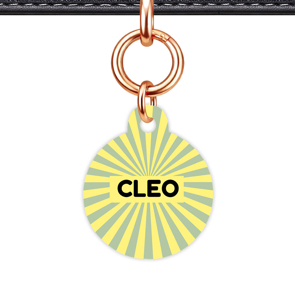 Green Yellow Sunburst QR Smart Pet Id Tag Tag (Dog Tag & Cat Tag)