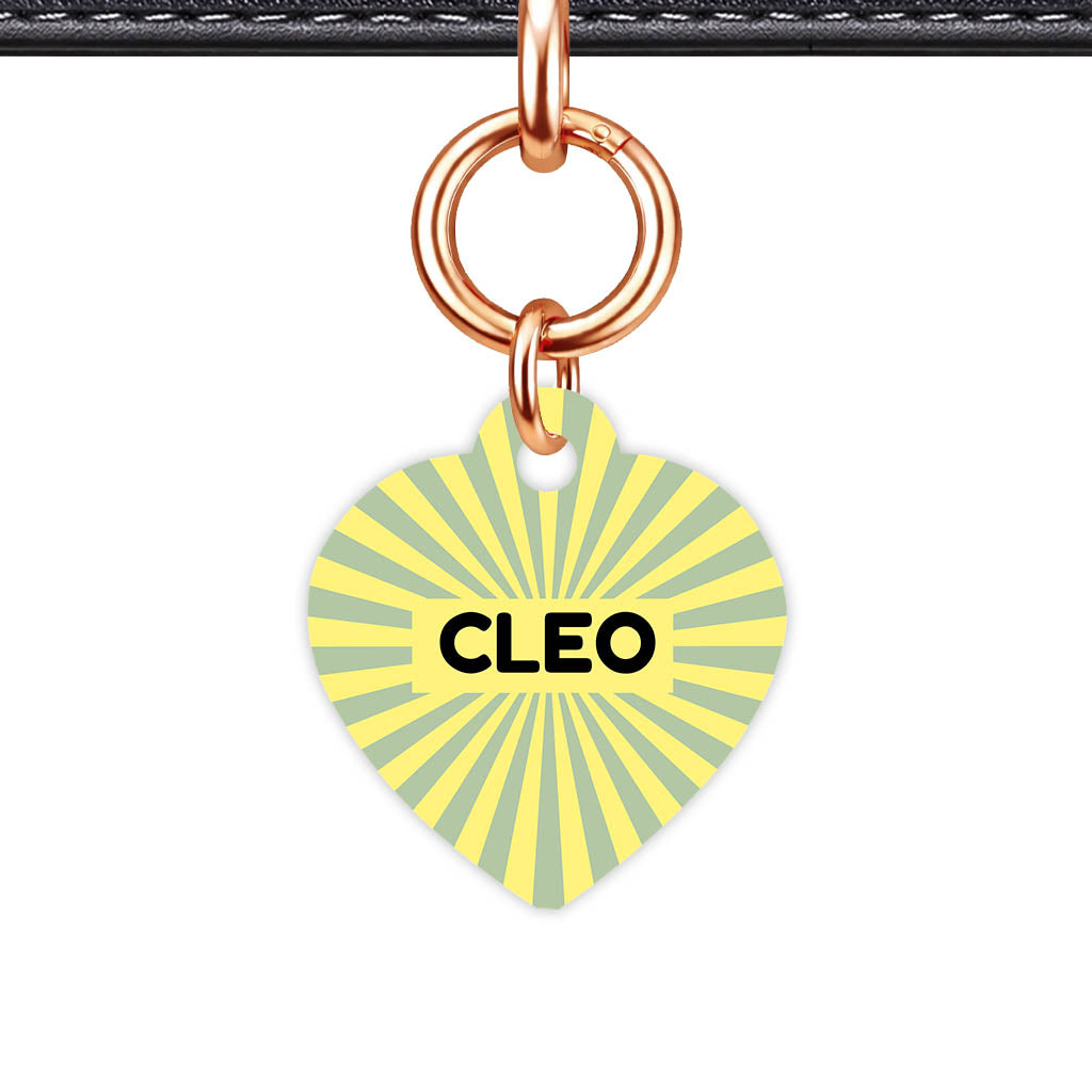 Green Yellow Sunburst QR Smart Pet Id Tag Tag (Dog Tag & Cat Tag)