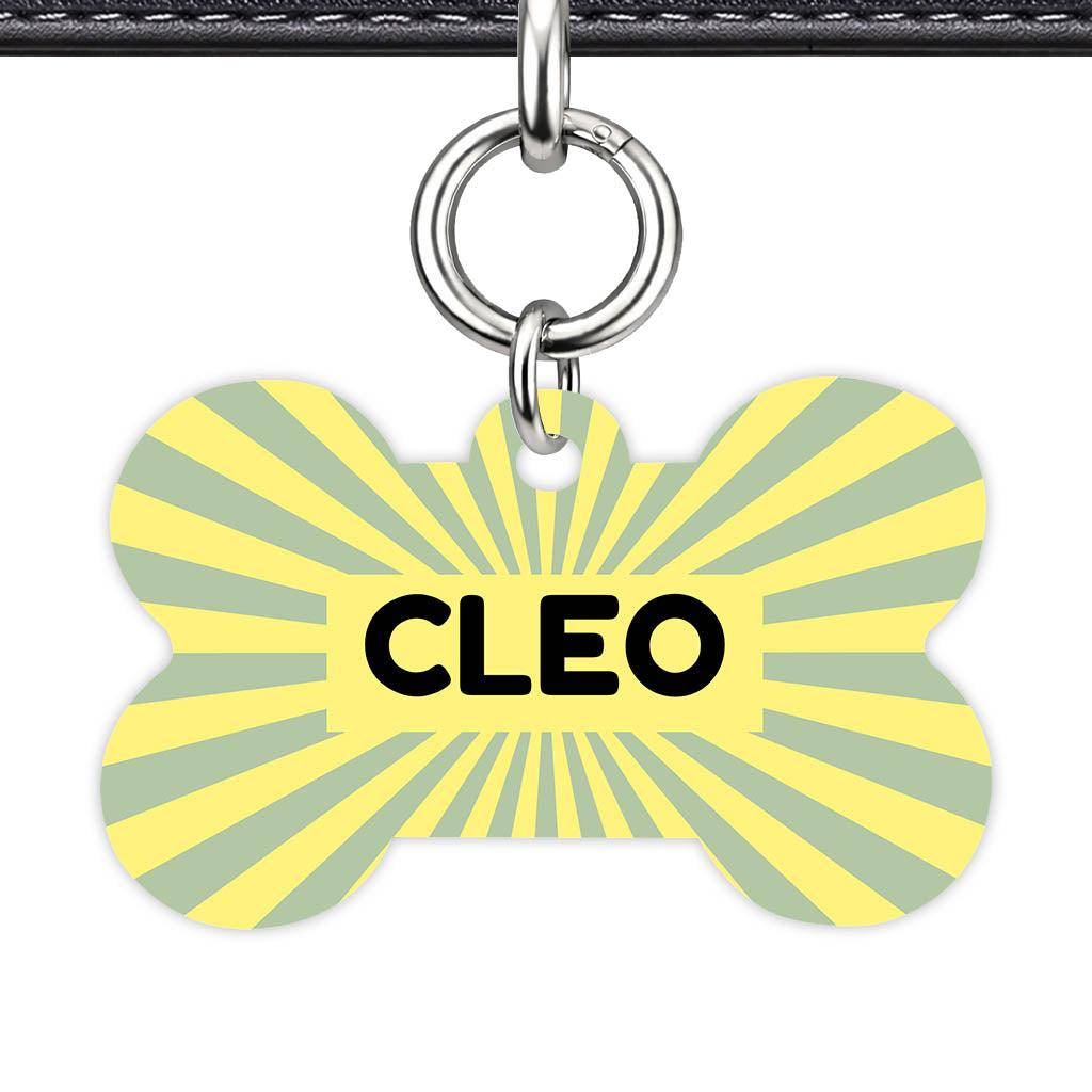 Green Yellow Sunburst QR Smart Pet Id Tag Tag (Dog Tag & Cat Tag)