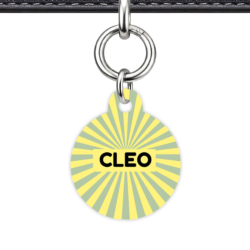 Green Yellow Sunburst QR Smart Pet Id Tag Tag (Dog Tag & Cat Tag)