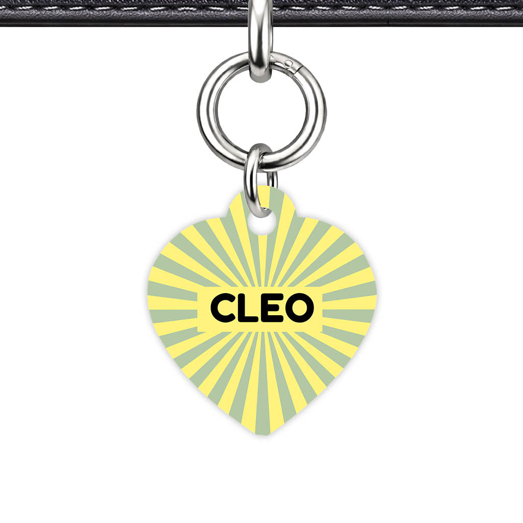 Green Yellow Sunburst QR Smart Pet Id Tag Tag (Dog Tag & Cat Tag)