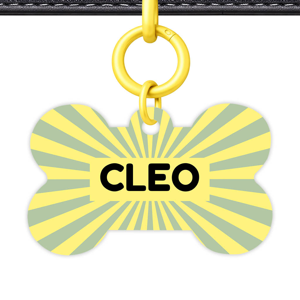 Green Yellow Sunburst QR Smart Pet Id Tag Tag (Dog Tag & Cat Tag)